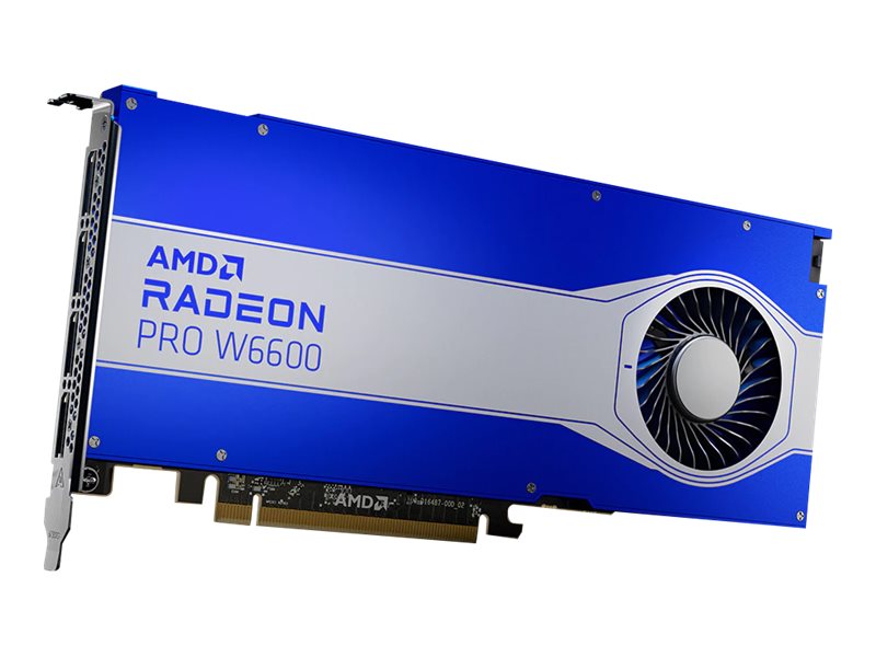 AMD Radeon Pro W6600 - Grafikkarten - Radeon Pro W6600